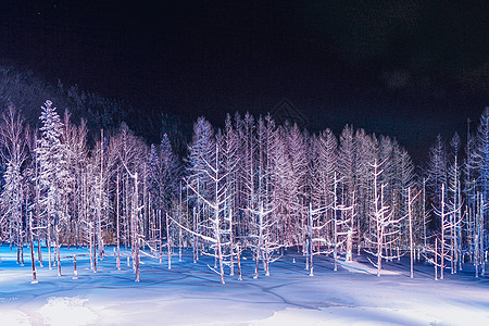 北海道美瑛地标青池图片