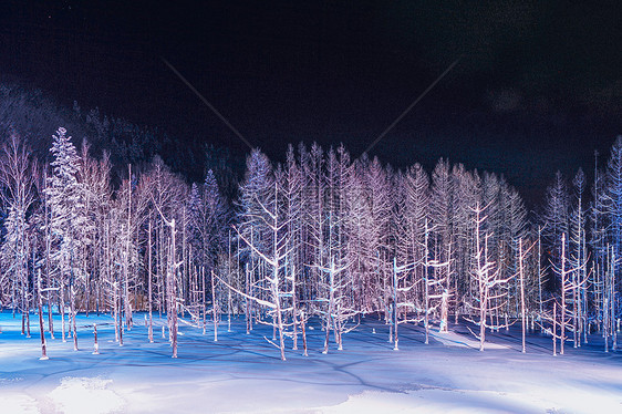 北海道美瑛地标青池图片