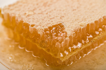 美味的蜂巢蜜图片