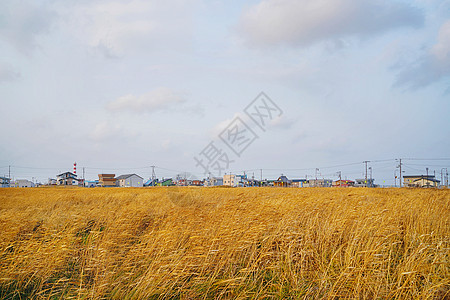 北海道的秋季田园风光图片