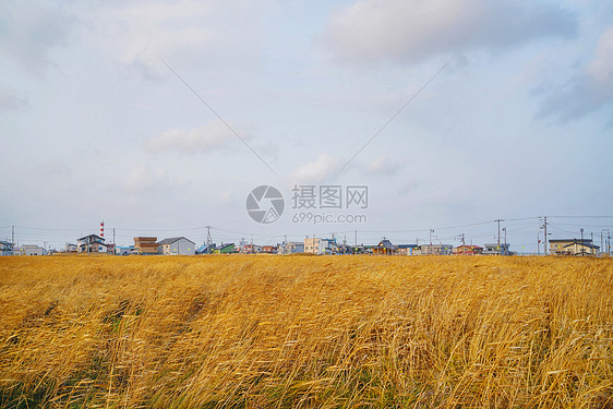 北海道的秋季田园风光图片