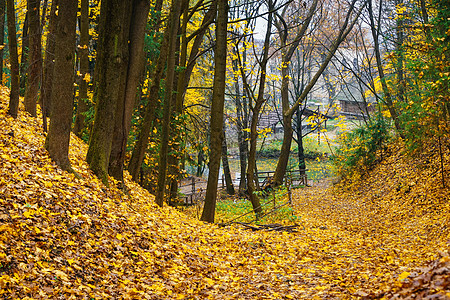 乌克兰秋景秋季敖德萨高清图片