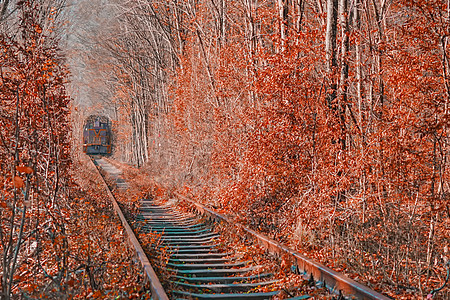 光谷爱情隧道乌克兰爱情隧道背景