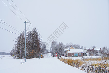 日本北海道富良野雪景图片