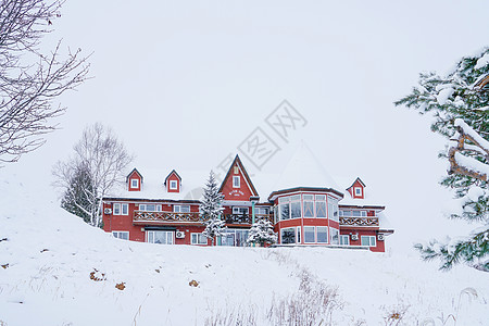 日本北海道富良野雪景图片