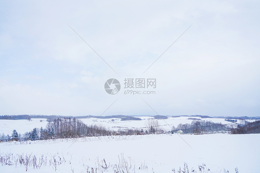 日本北海道富良野雪景图片