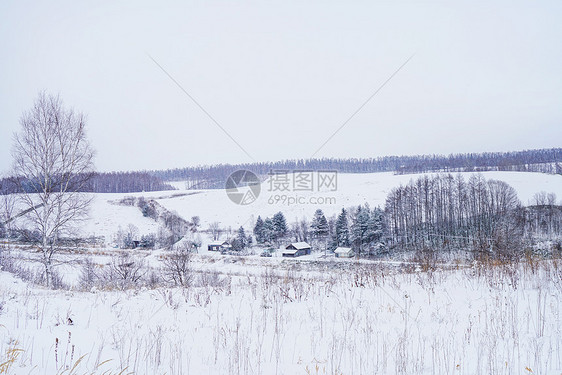 日本北海道富良野雪景图片