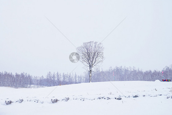 日本北海道富良野雪景图片