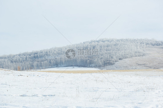 冬季内蒙古雾凇白桦林风光图片