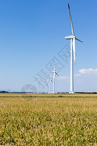 秋天收获黄黄的稻田背景