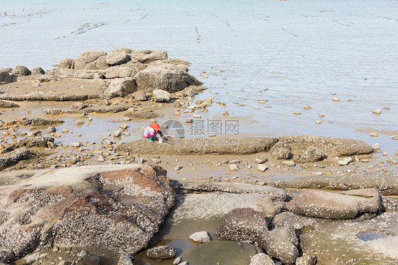 海滩水产养殖图片