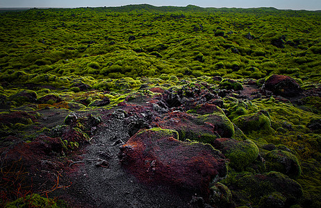 冰岛火山岩地质植被图片