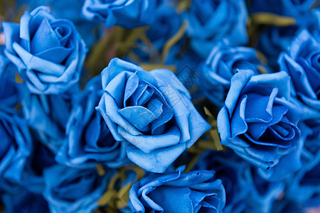 蓝玫瑰七夕情人节花卉高清图片