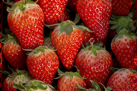 奶油草莓背景
