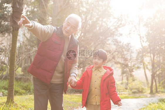 夕阳下爷爷牵孙子散步图片