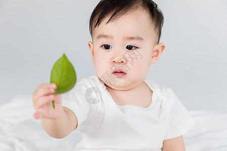 婴儿拿叶子婴儿环保高清图片