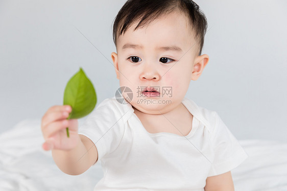 婴儿拿叶子图片