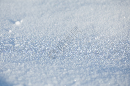 洁白的雪地图片