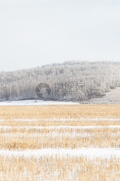 冬季草原雪景图片