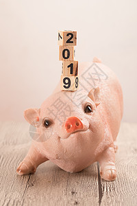 数字猪2019猪年摆件背景