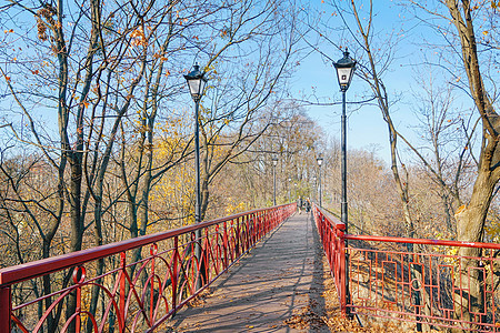 乌克兰基辅森林桥背景图片