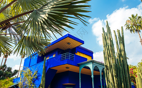 蓝色非洲的摩洛哥网红旅游马约尔花园背景