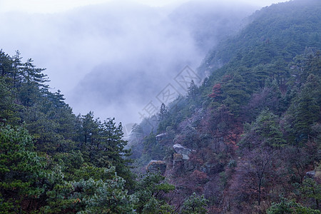 云雾中的庐山图片