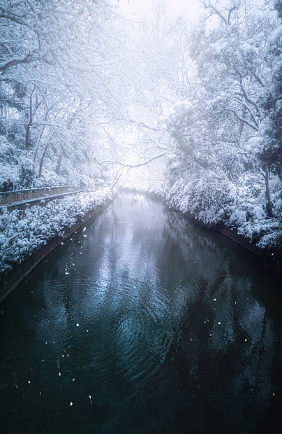 ‘~梦幻雪景  ~’ 的图片