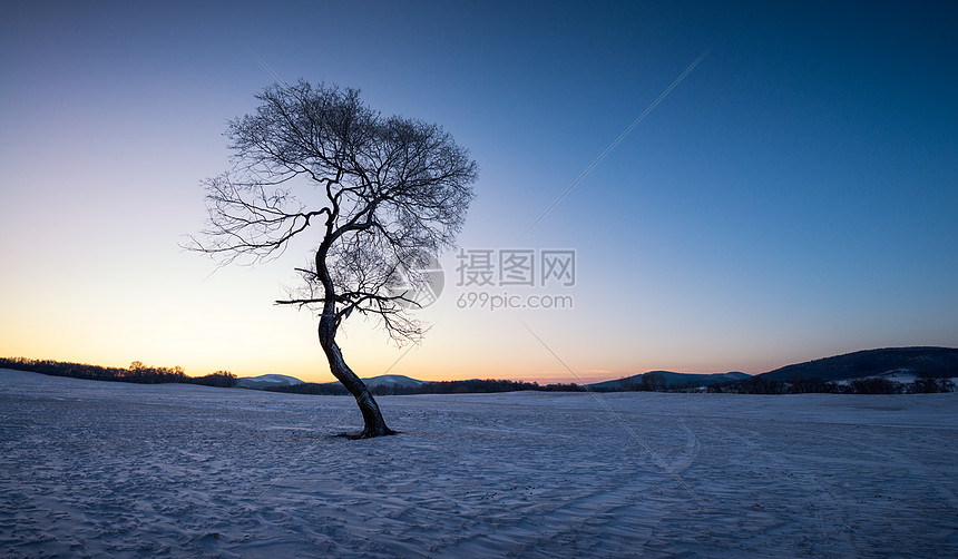 冬天雪景风光图片