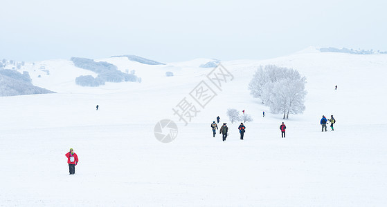 冬天雪景风光图片