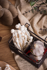 菌类食品白玉菇静物图片