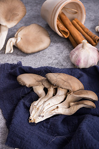 菌类食材平菇在桌面上高清图片
