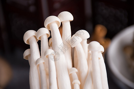 菌类食品白玉菇图片