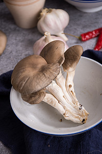 菌类食材平菇在碗里图片