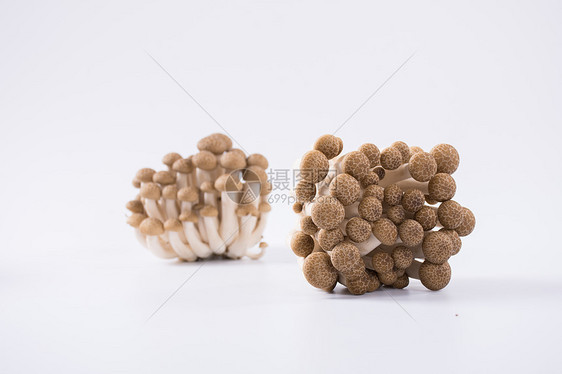 菌类食品蟹味菇图片