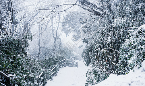 峨眉山雪景图片