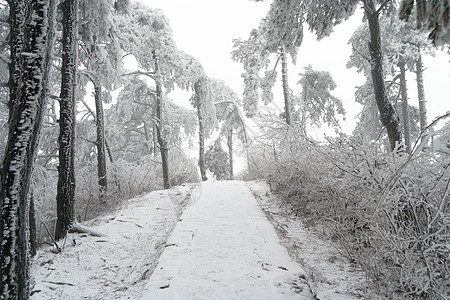 雪花冰庐山雾凇背景