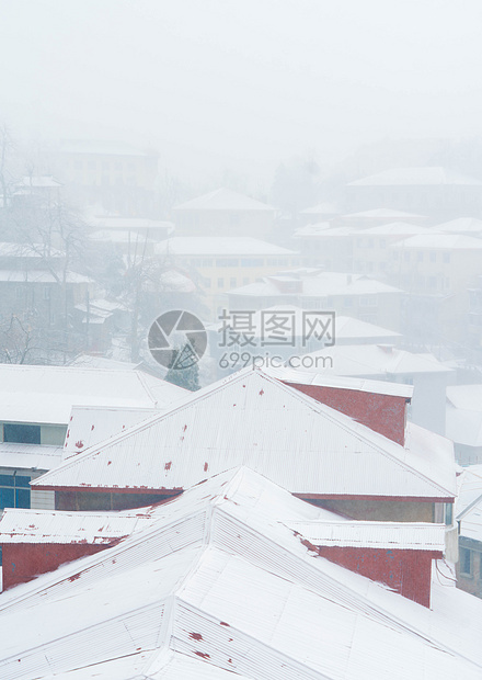 庐山牯岭镇雪景图片