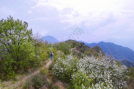 秦岭风光背景图片