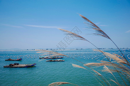 潮州卤水南澳岛海滨背景