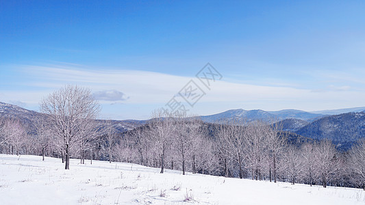 东北雪乡森林背景图片
