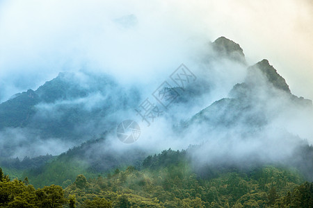 云雾缭绕的张家界背景图片