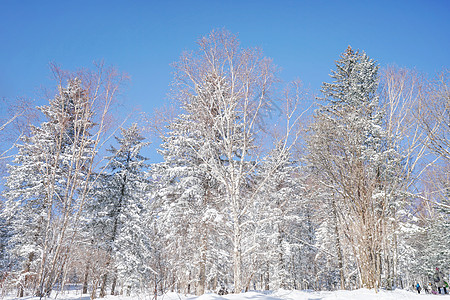 雪乡雪谷穿越图片