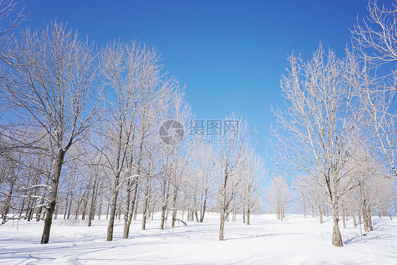 雪乡雪谷穿越图片