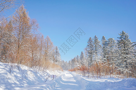 雪乡雪谷穿越背景图片