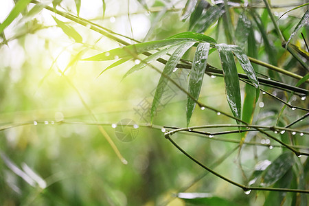 雨后阳光设计图片