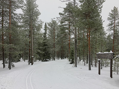 芬兰洛瓦涅米冰雪世界森林道路图片