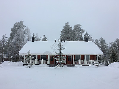 芬兰洛瓦涅米森林中的雪屋背景图片