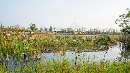 泗洪洪泽湖湿地公园背景图片