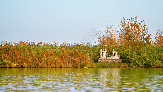 泗洪洪泽湖湿地公园背景图片